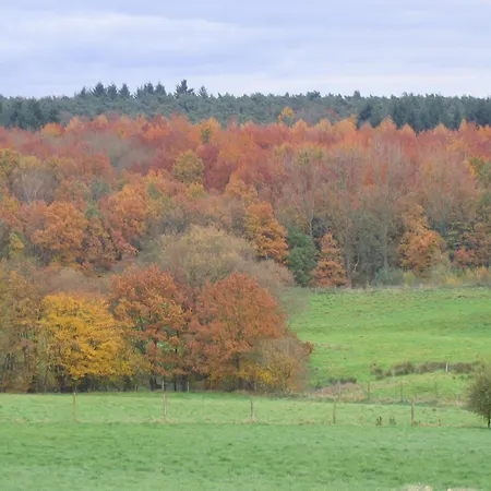 Hallerbos In Bluebell Forest Bed & Breakfast Halle (Flemish Brabant)